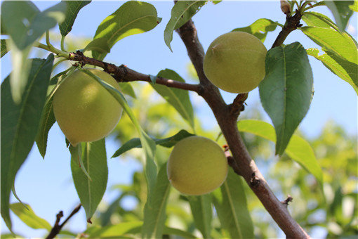 ����-��ͼ��