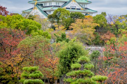 �����ɡ�����ͼ