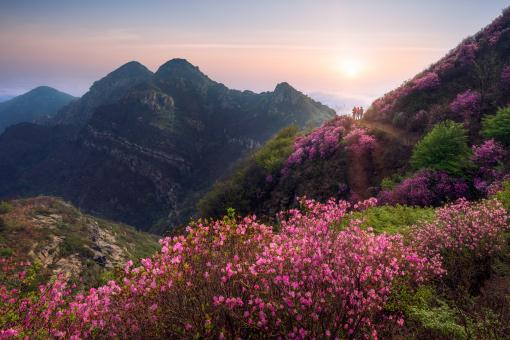 �ž黨������ͼ