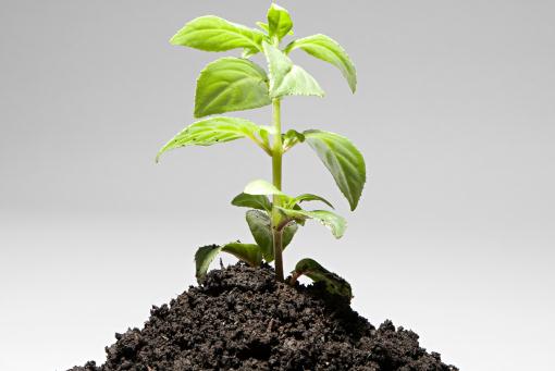 ��Ц��������ͼ