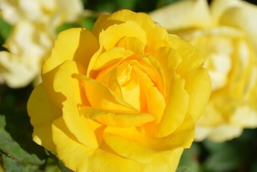 Ǿޱ������ͼ