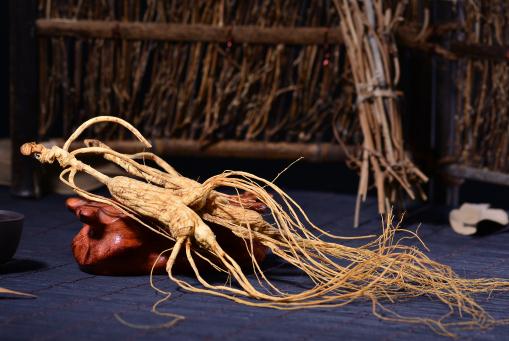 人参——摄图