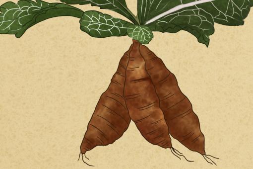 �ػơ�����ͼ