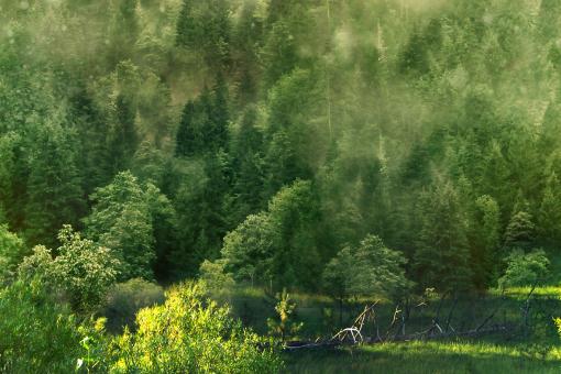 �Ĺ���������ͼ