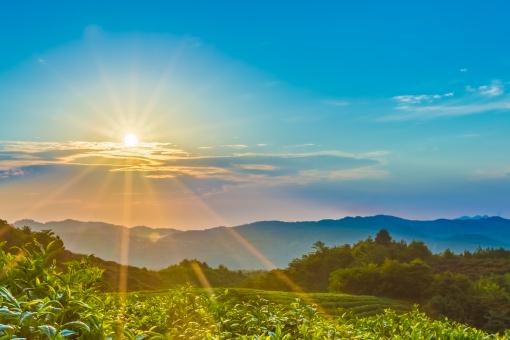 �Ĺ���������ͼ