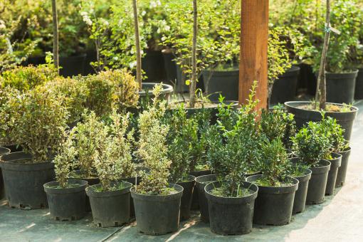 ������������ͼ