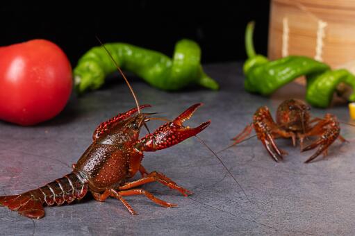 小龙虾——摄图