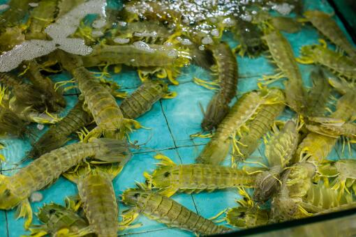 ƤƤϺʲôʱºò×î·Ê-ÉãÍ¼Íø