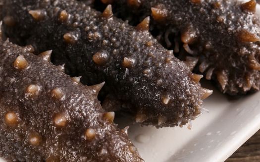 人造海参的危害