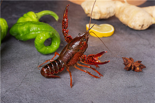 С��Ϻ-��ͼ��