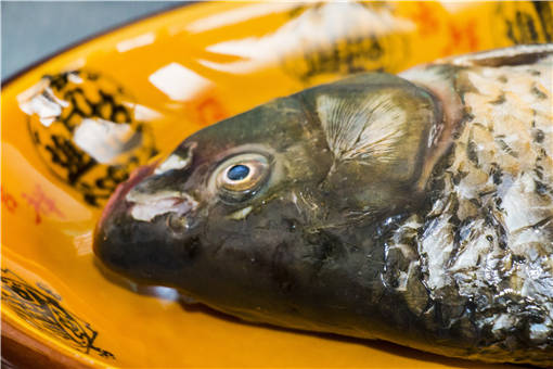 养殖一亩鲤鱼的成本和利润-摄图网