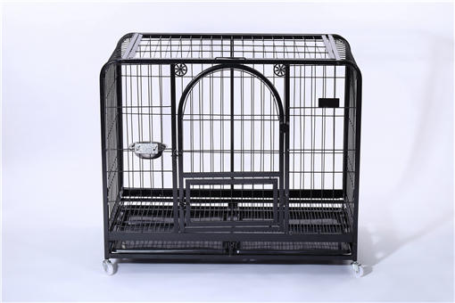 养殖果子狸-摄图网