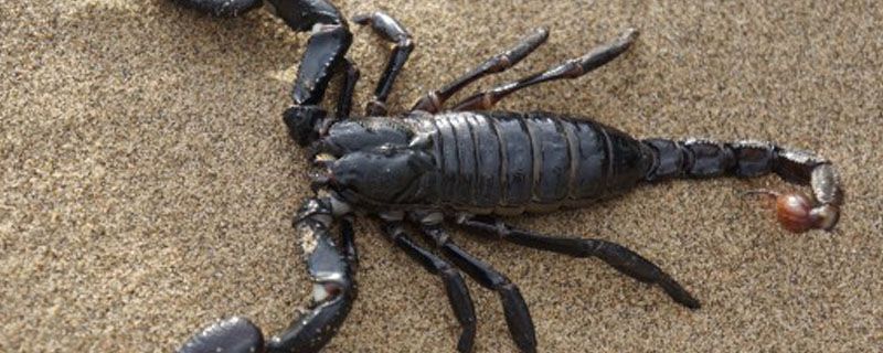 ����Ы��ô��