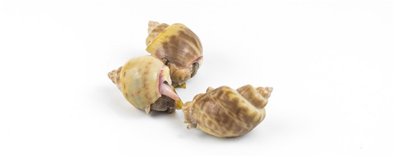 �ƽ���-��ͼ��