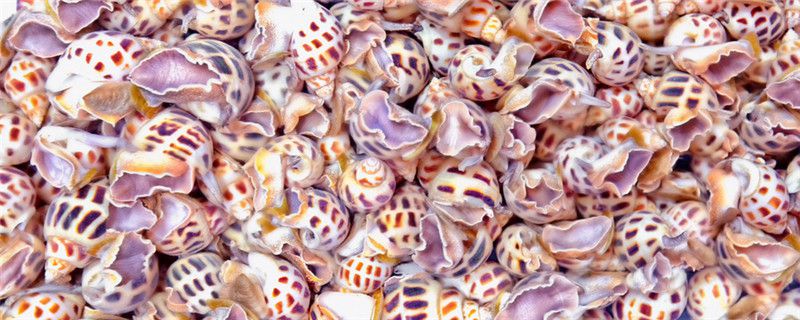 ��������ô��