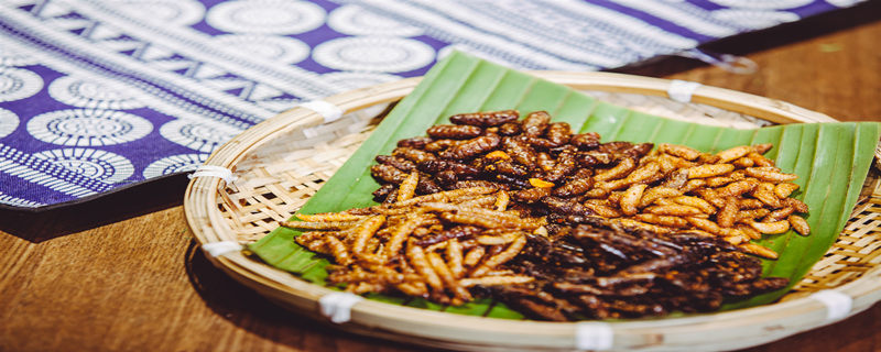 ��������ô��