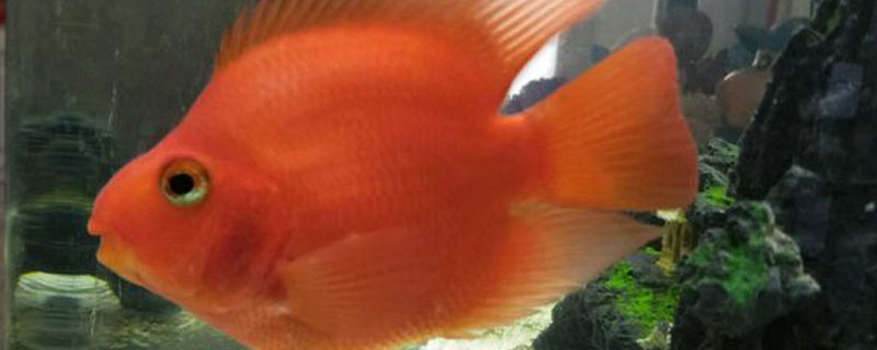 ����������ô��ˮ