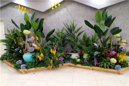 ��Ƥ������ֳ������ʲô-��ͼ��