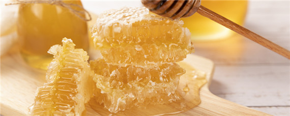 土蜜蜂养殖技术-摄图网