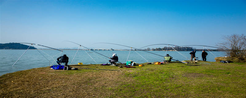 现在钓鱼用什么饵料