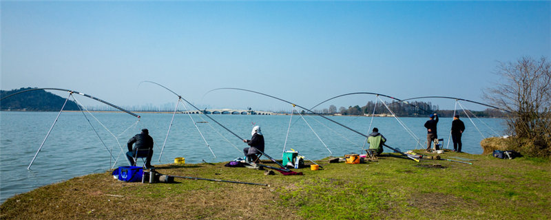 现在钓鱼用什么饵料好-摄图网