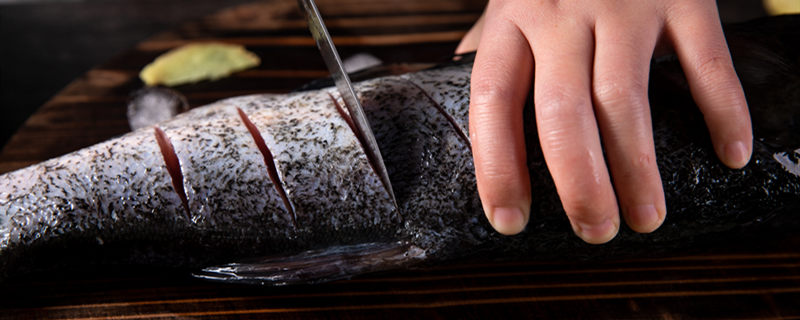 明太鱼是海鱼吗