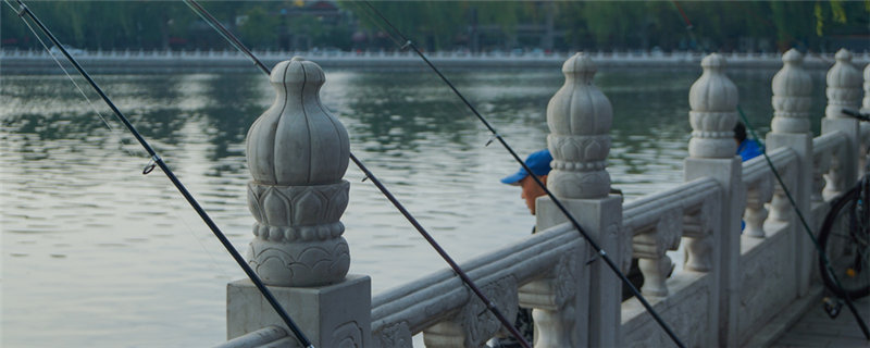 钓黑鱼用什么鱼竿-摄图网