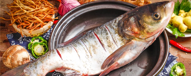 胖头鱼和花鲢鱼的区别