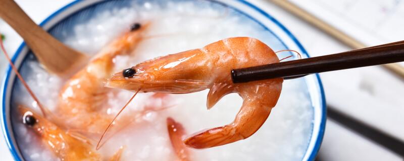 普瑞莫种虾特点