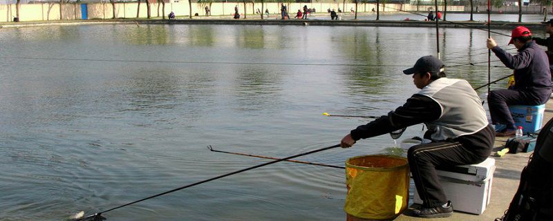 春天钓鱼用什么饵料