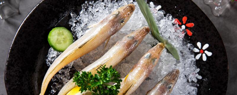 沙丁鱼是深海鱼吗