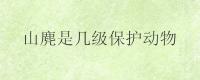 山麂是几级保护动物