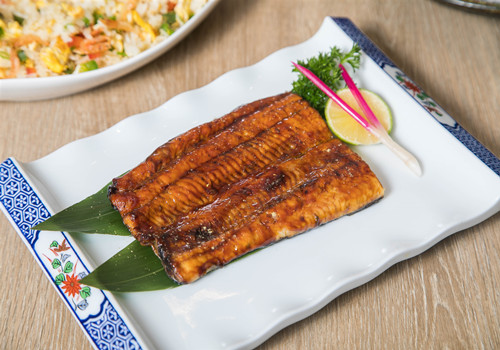 9鳗鱼价格多少钱一斤及养殖前景分析