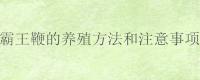 霸王鞭的养殖方法和注意事项