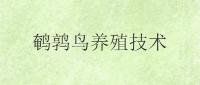 鹌鹑鸟养殖技术