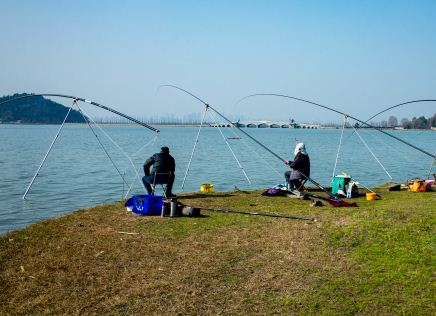 钓桂鱼用什么饵料
