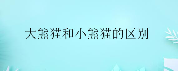 大熊猫和小熊猫的区别——自制