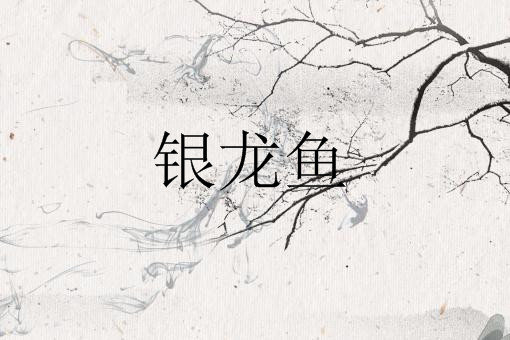 银龙鱼——自制