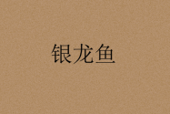 市场上的银龙鱼价格多少钱一条?怎么养?