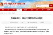 四川现H5N6禽流感疫情!养殖户如何应对禽流感?做好4点很重要!