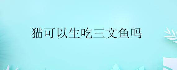 猫可以生吃三文鱼吗——自制
