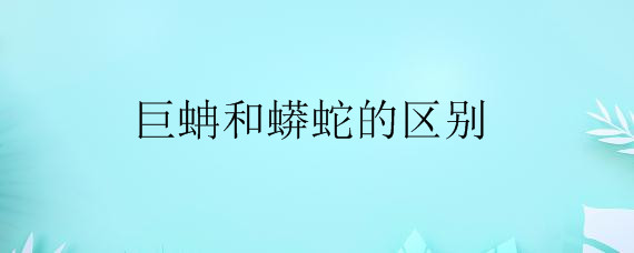 巨蚺和蟒蛇的区别——自制