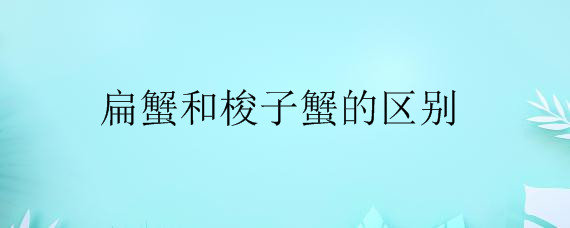 扁蟹和梭子蟹的区别——自制