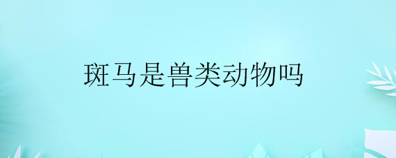 斑马是兽类动物吗——自制