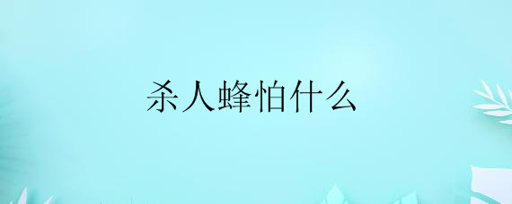 杀人蜂怕什么——自制