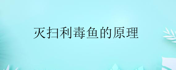 灭扫利毒鱼的原理——自制