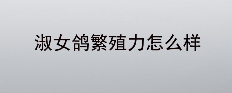 淑女鸽繁殖力怎么样