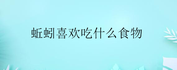 蚯蚓喜欢吃什么食物——自制