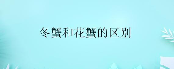 冬蟹和花蟹的区别——自制