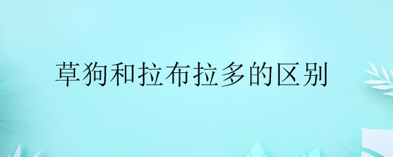 草狗和拉布拉多的区别——自制